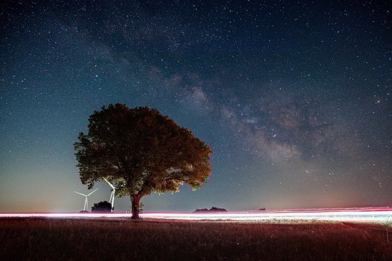 The Milky Way over a tree in the Bosco Coste, Grottole.