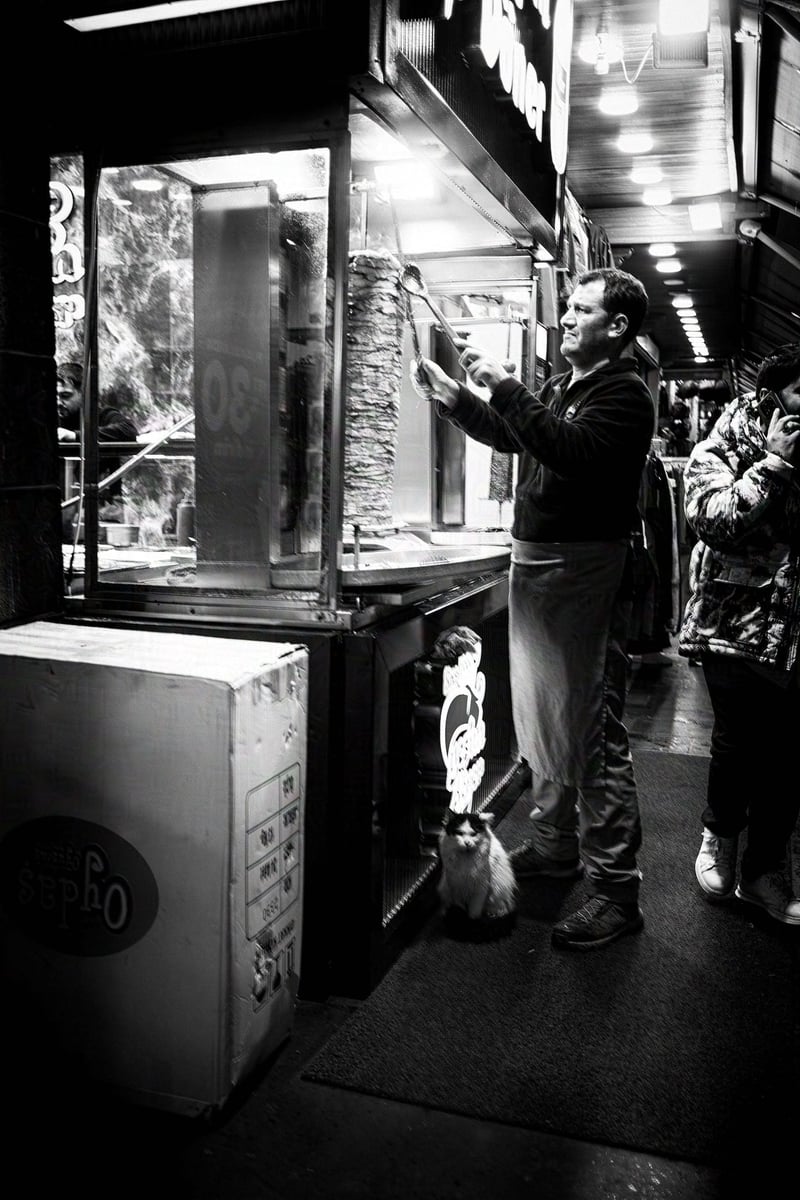A cat hoping to have a piece of doner kebab