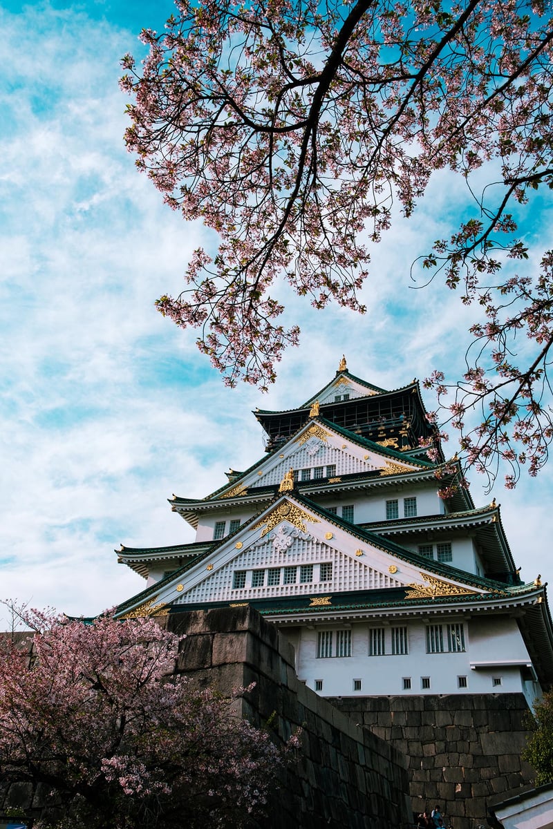 The castle of Osaka under the cherry blossoms