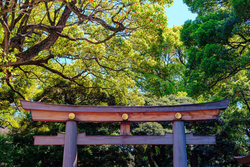A Japanese Torii surrounded by green trees