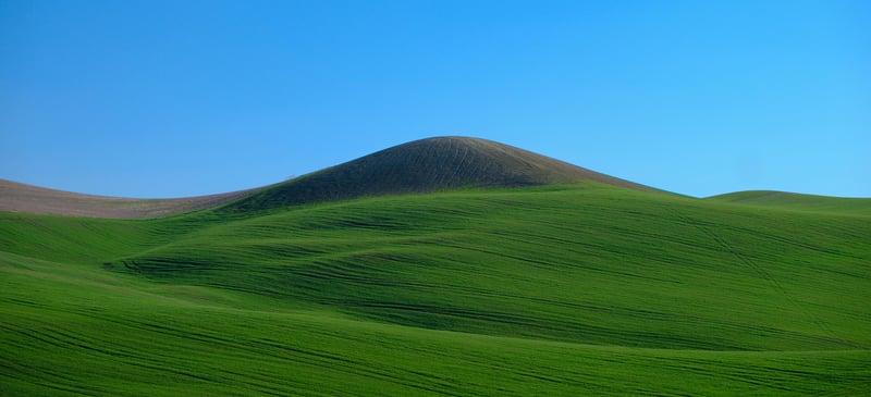 A green hill with a blue background in Basilicata in February.