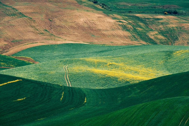 The shapes of the hills of Basilicata