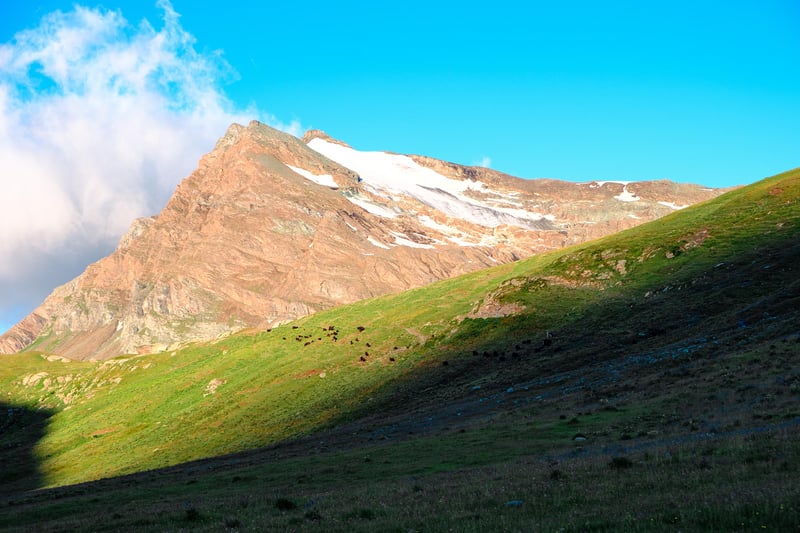 Landscape in Piedmont